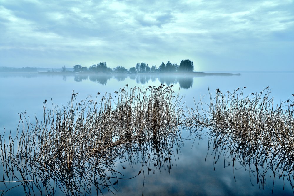 Утро в тумане