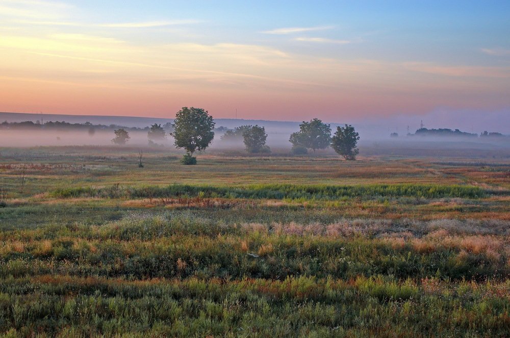 Photograph by Анатолий Святой