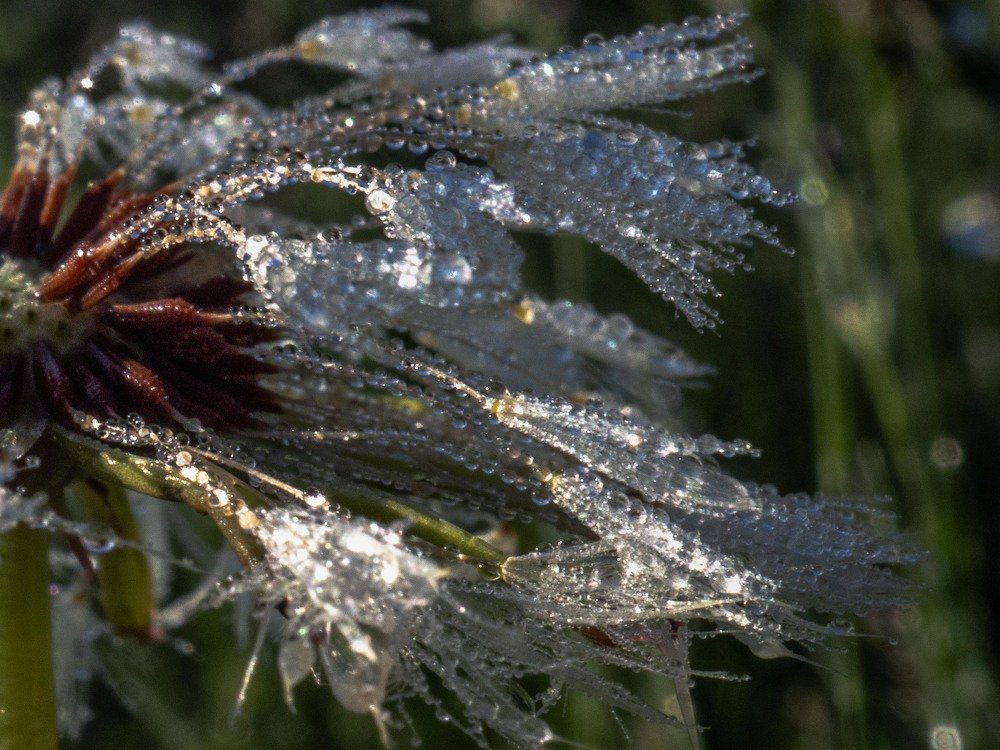 Photograph by mikhail goryachev