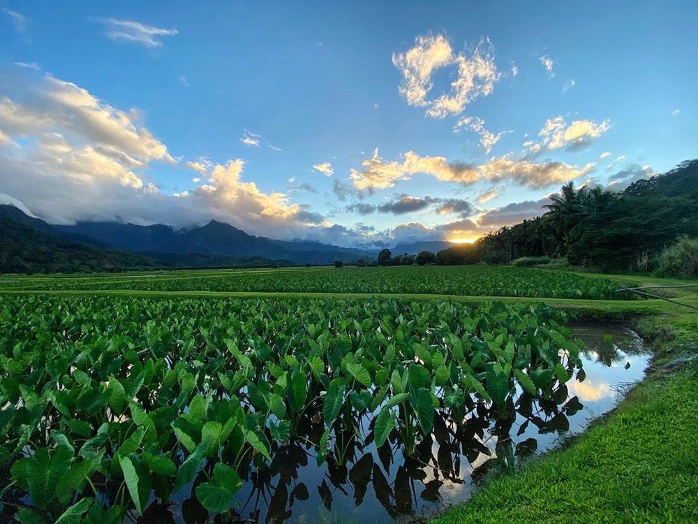 Photograph by Nikolay Gorbatenko