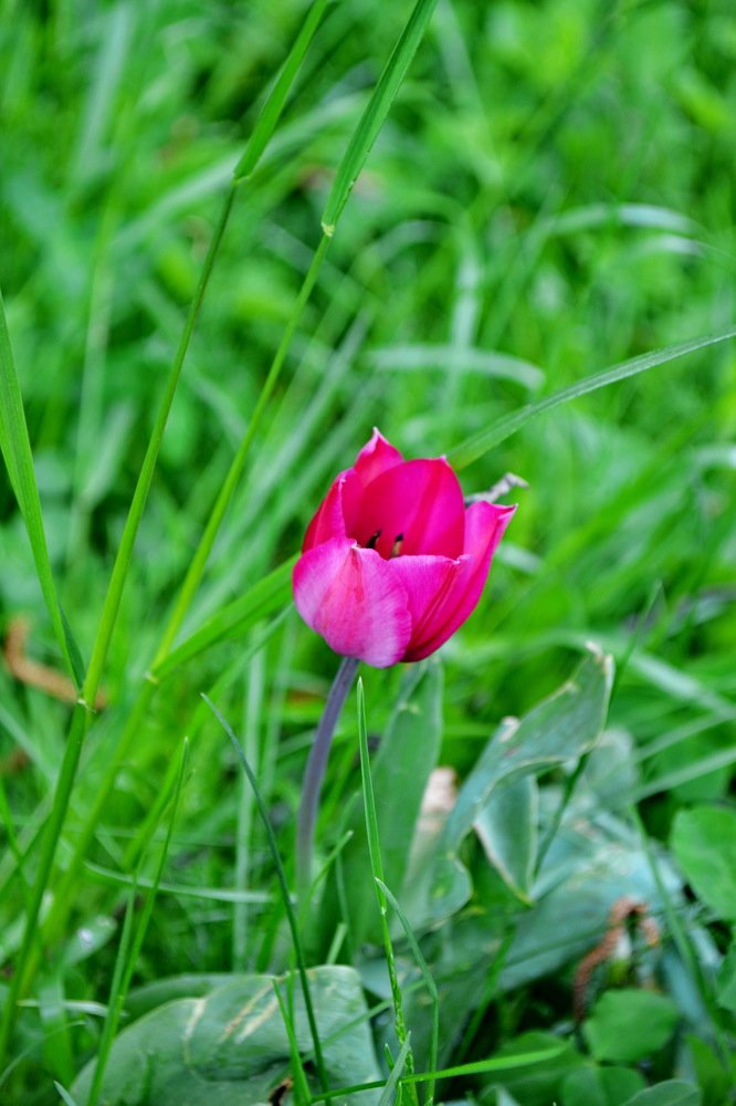 Photograph by Мария Лаврентьева