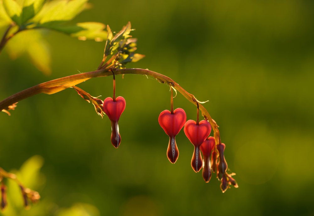 Photograph by Пётр Калачев