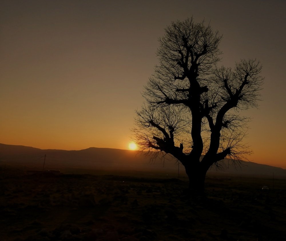 Photograph by faiaq ary