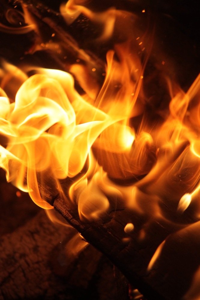 Photograph by Елена Хорошильцева