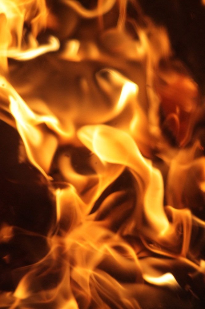 Photograph by Елена Хорошильцева