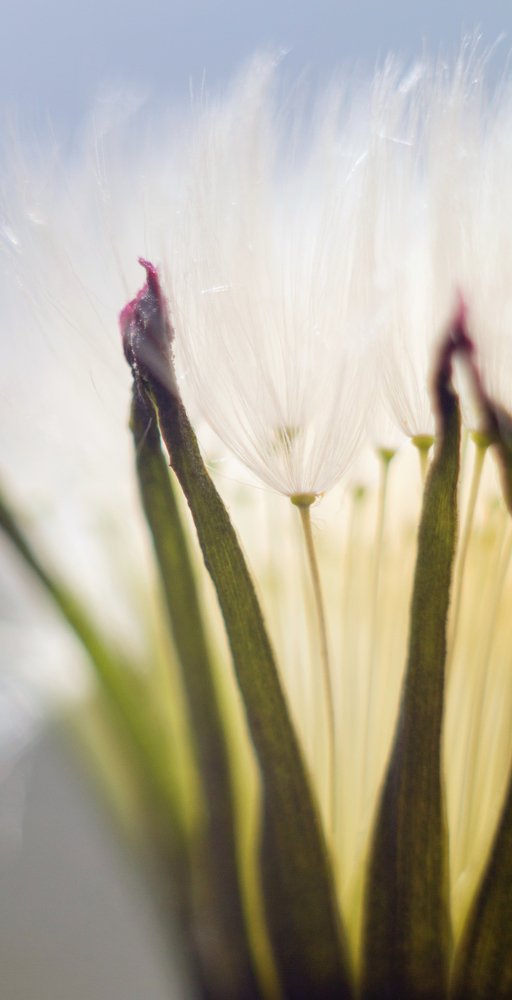 Photograph by Юлия Кузьмина