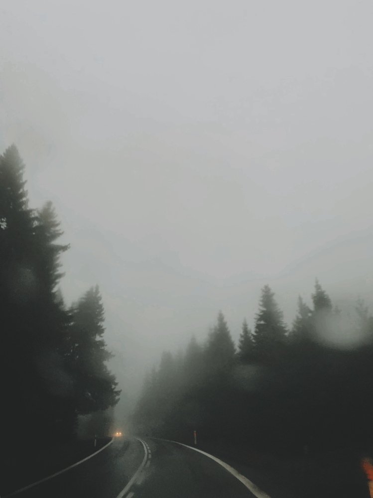 Photograph by Ксения Максименко