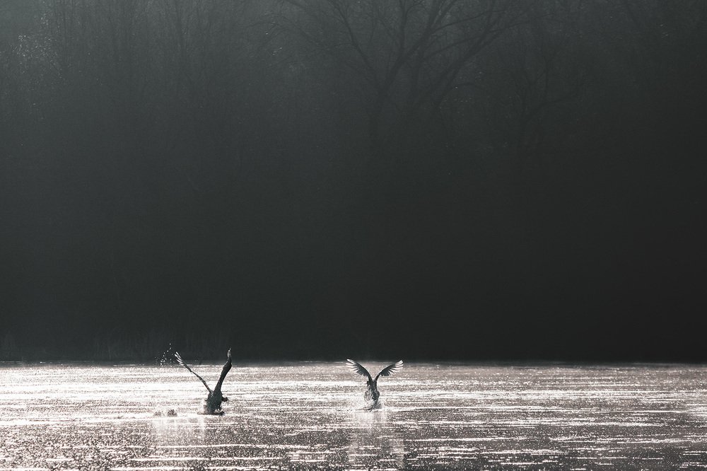 Photograph by Сергей Фадин