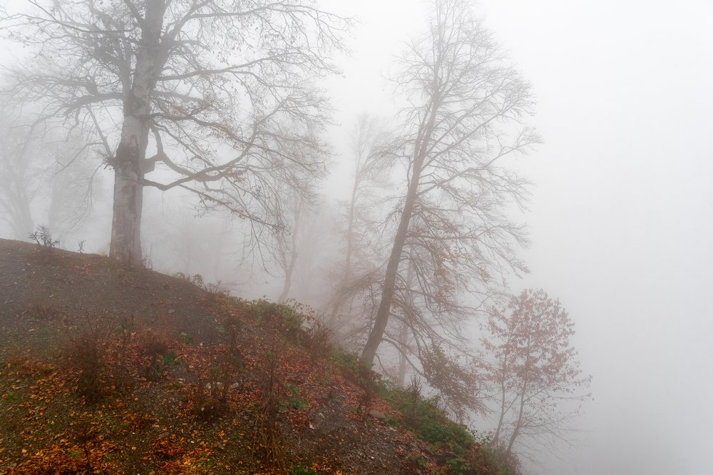 Photograph by Игорь Мурзенко