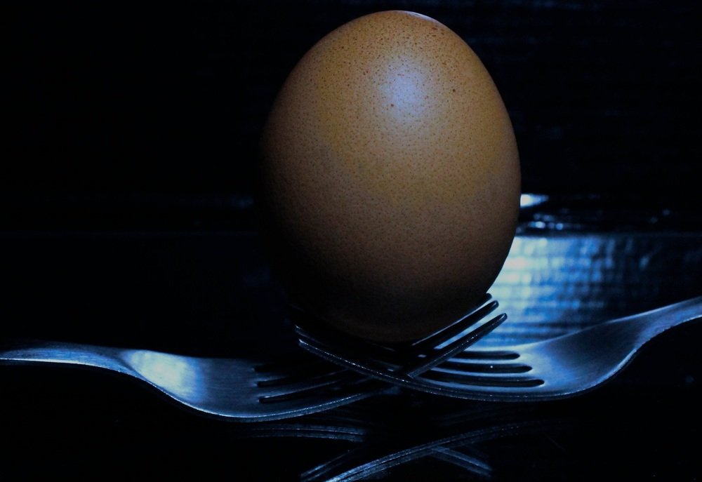 Photograph by Francisco Ferreira