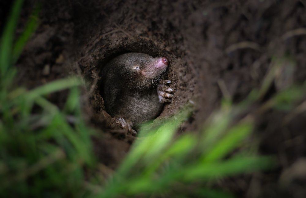 Фотография автора Christina Draper