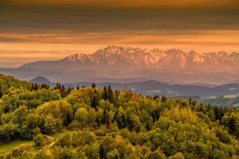 Photograph by Dariusz Budyta