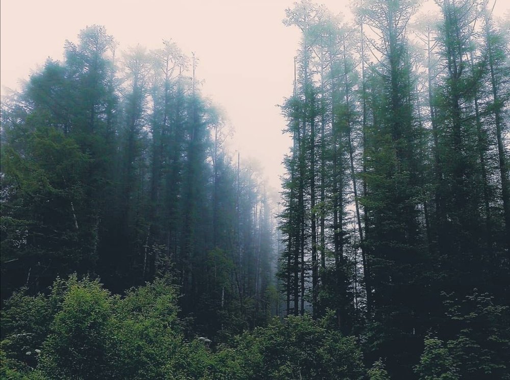 Photograph by Анна Сидоренко