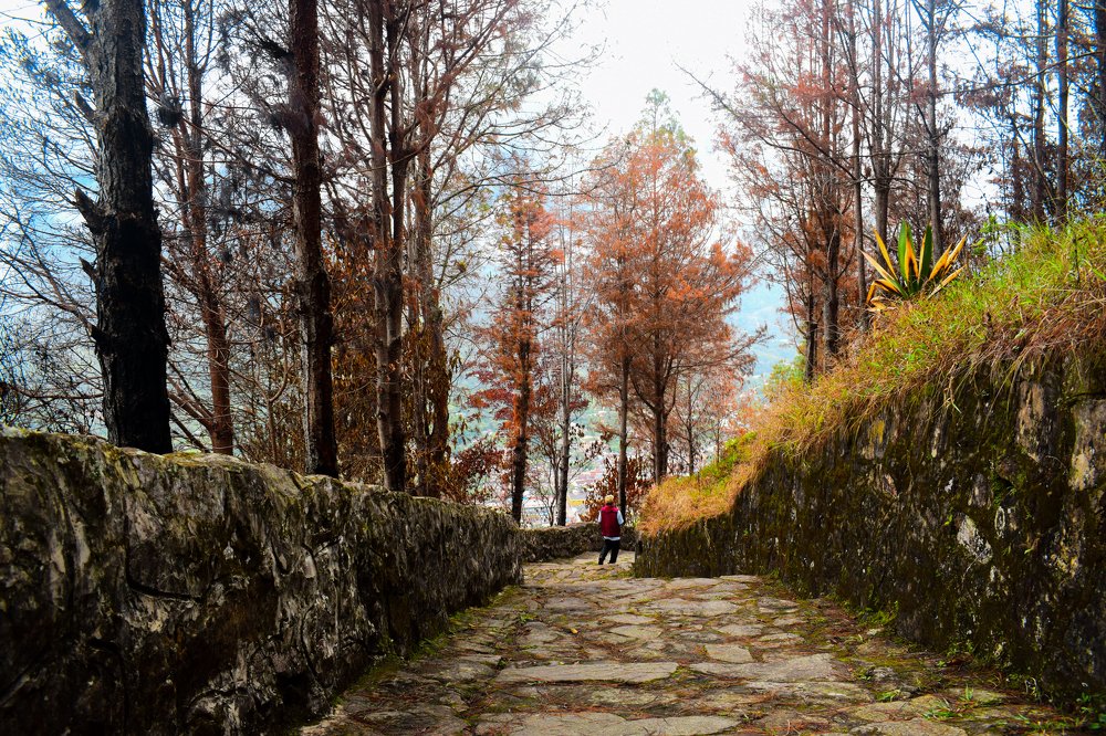 Caminando bajo el otoño