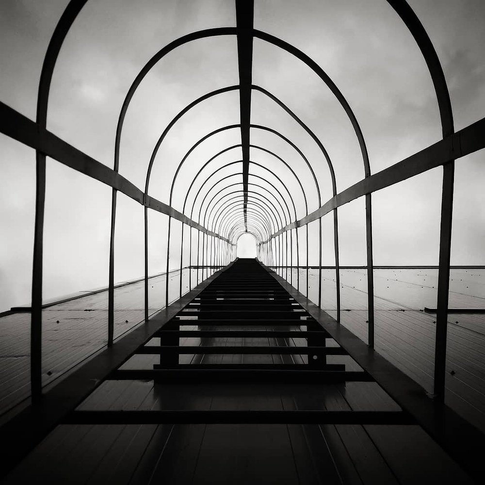 Photograph by Toleshovaaa