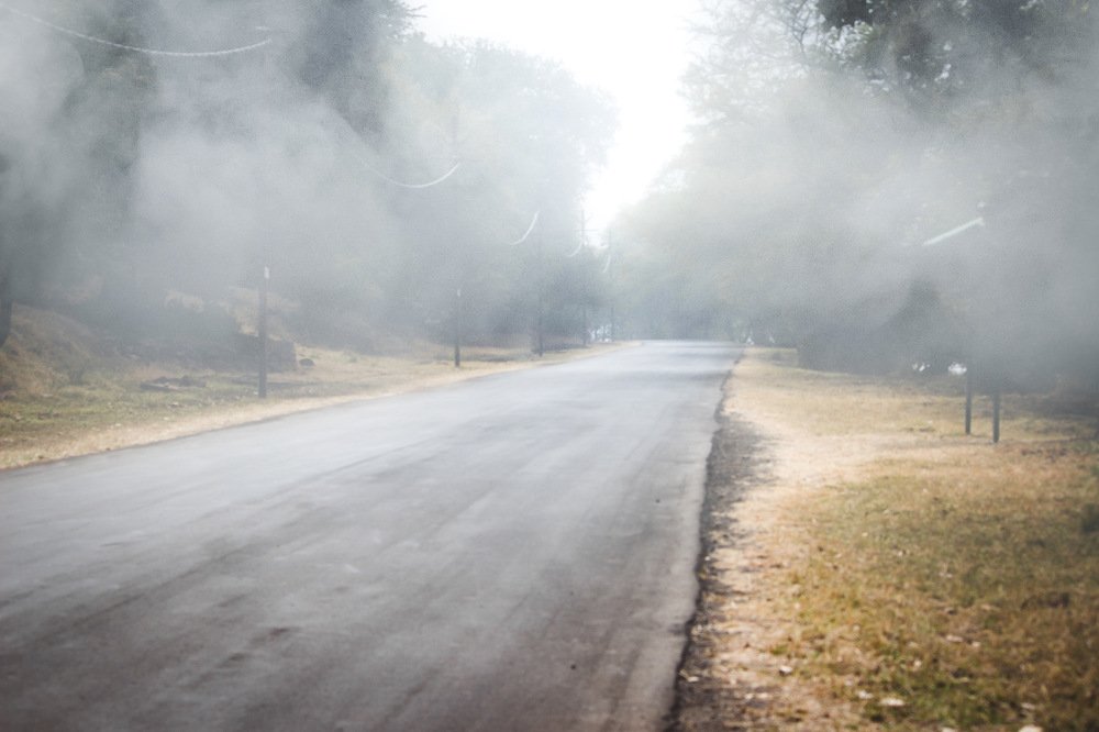 Photograph by Nyonika Rawal