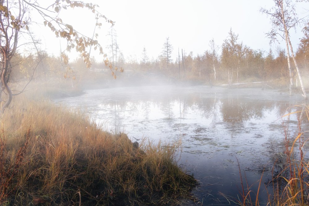 Photograph by Антон Кривошейцев