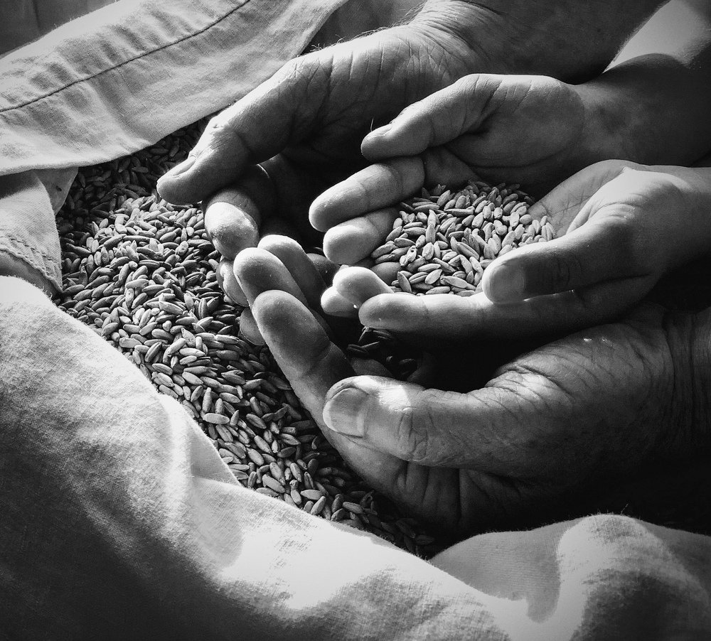 Из поколения в поколение ..