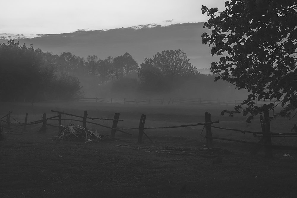 Photograph by Роман Павлов