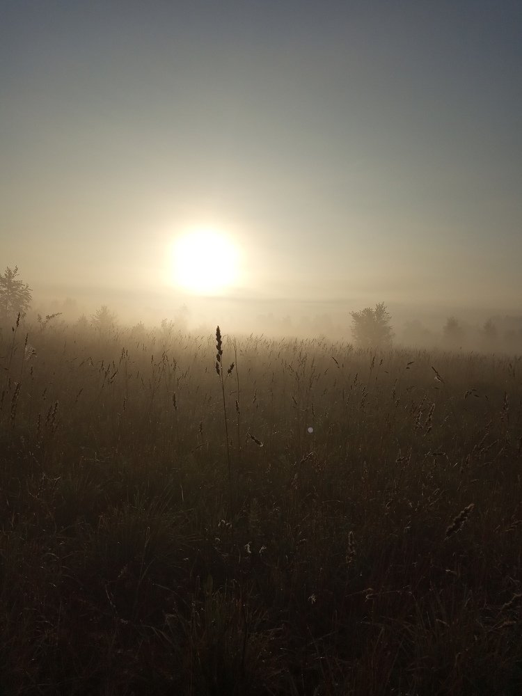 Photograph by Любовь Шаврина