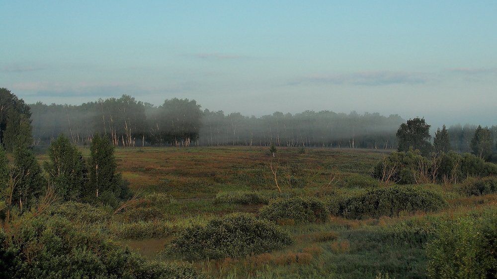 Утро туманное