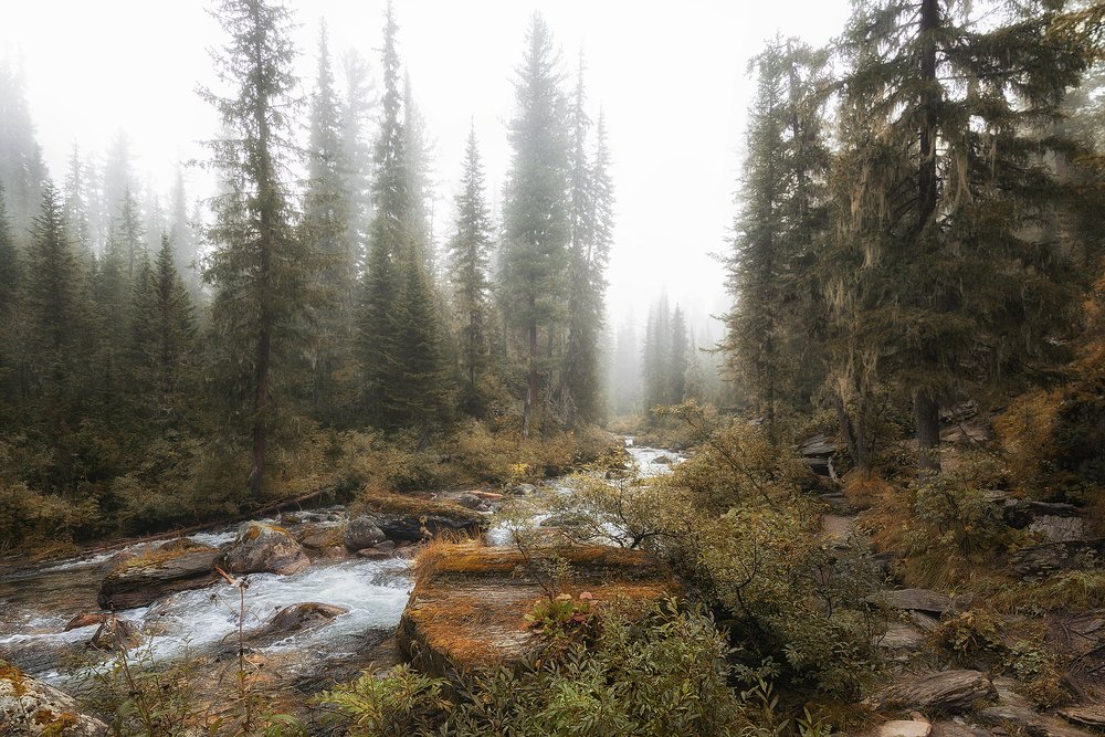 Photograph by Валерий Ряснянский