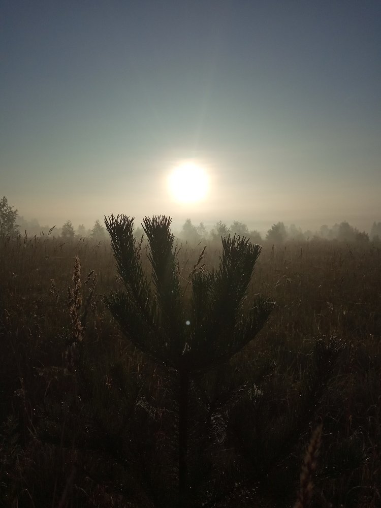 Photograph by Любовь Шаврина