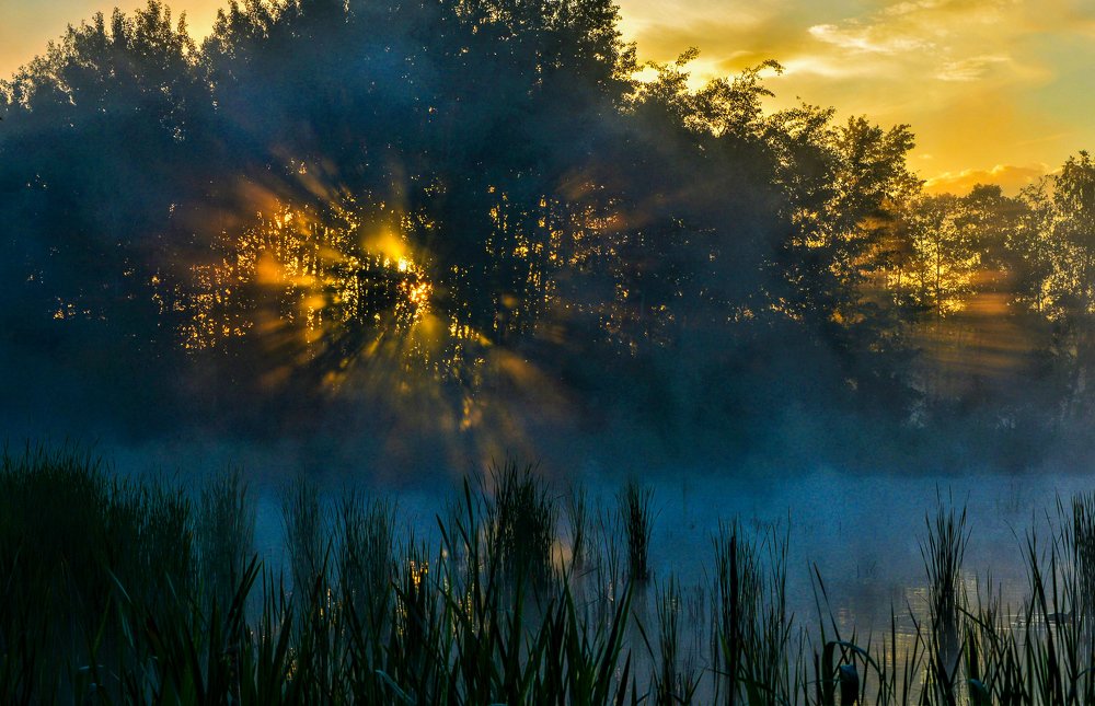 Photograph by Rafał Kowalik