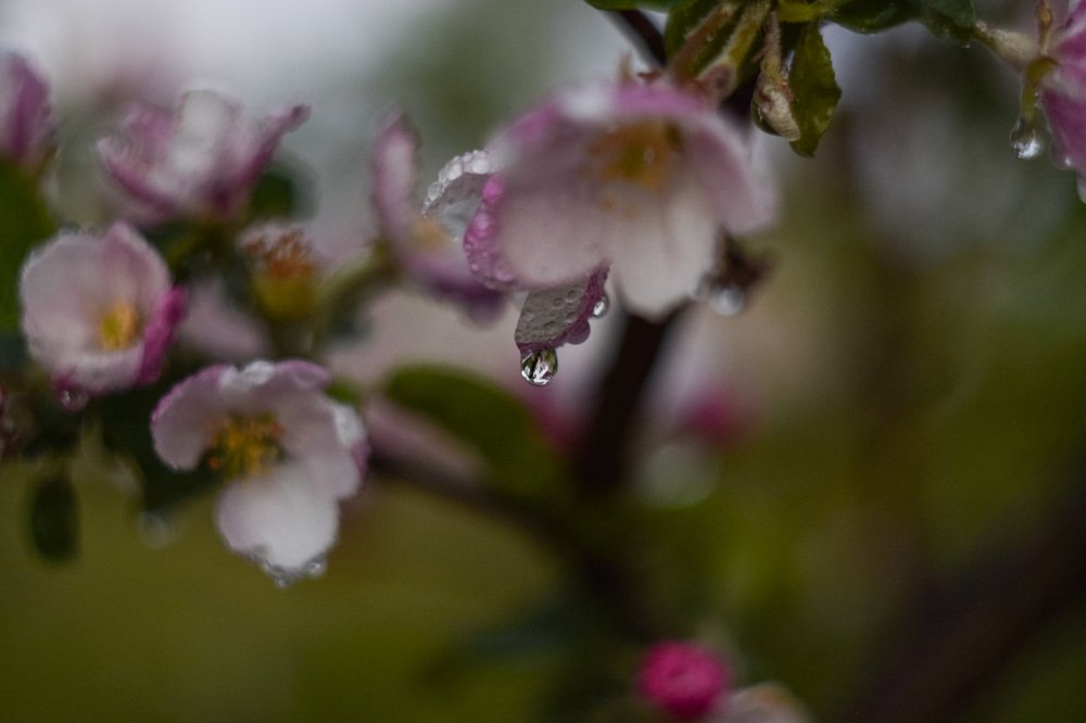 Photograph by Александр Кириков