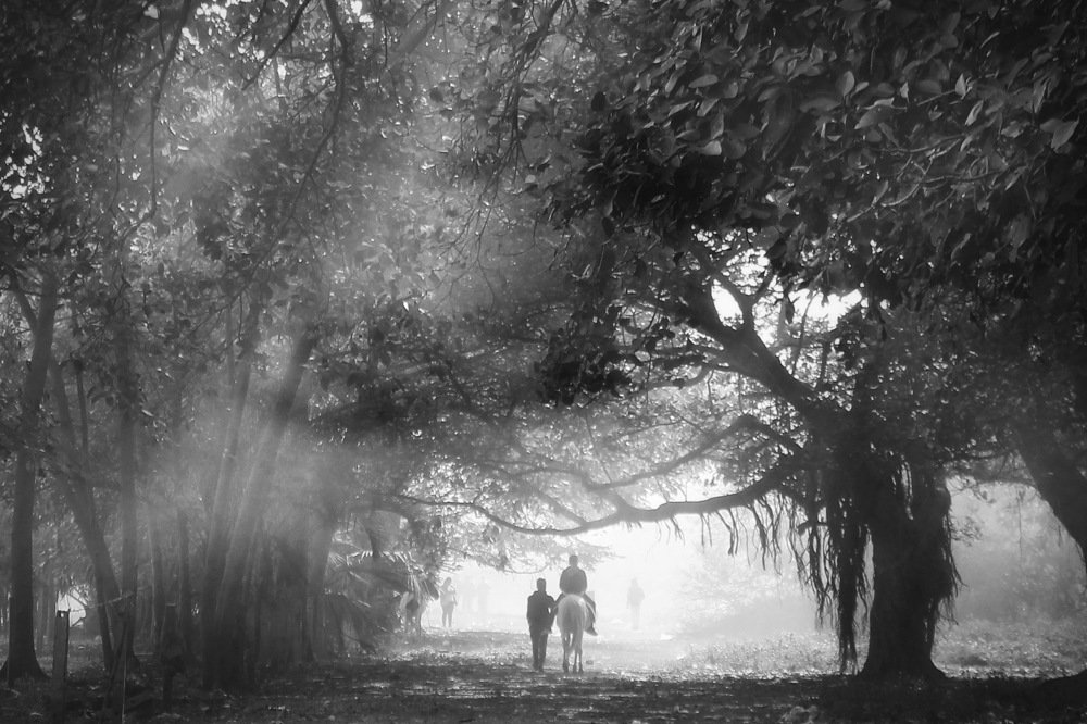 Photograph by DIBAKAR ROY