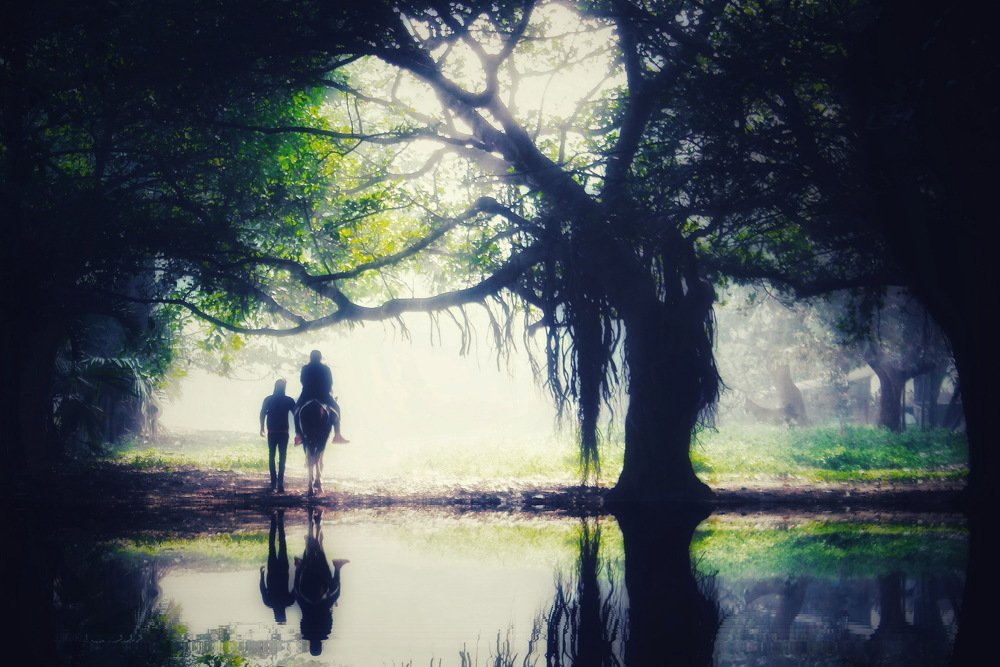 Photograph by DIBAKAR ROY