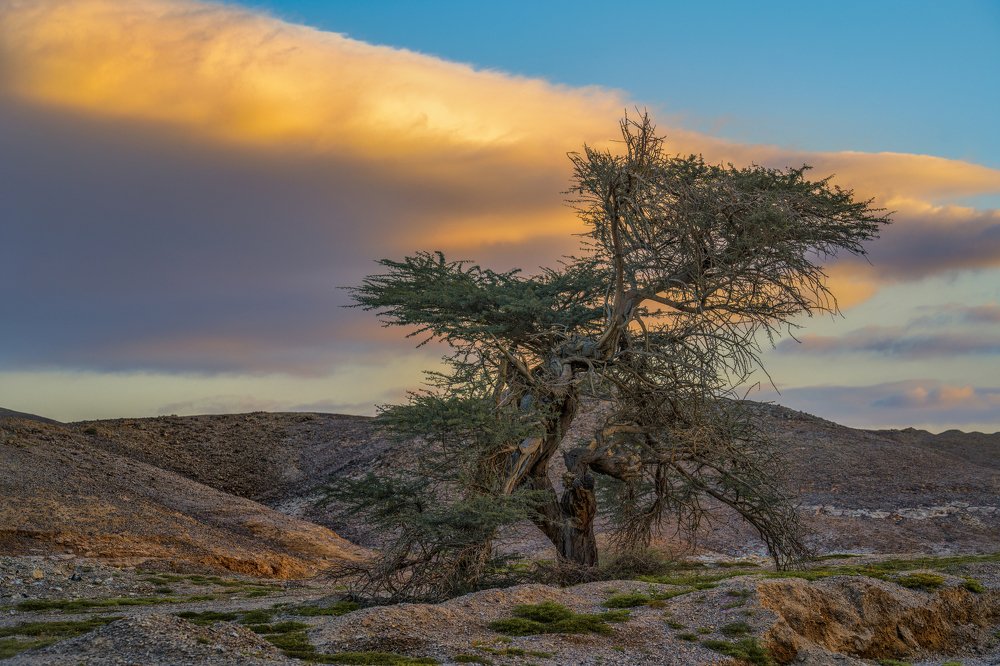 Photograph by Евгений Шварцман