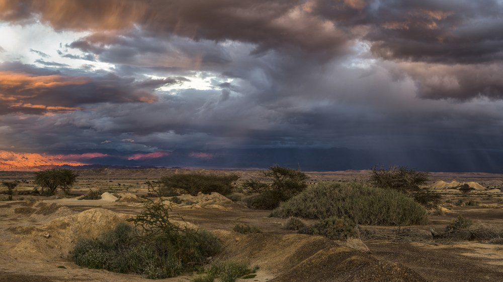 Photograph by Евгений Шварцман