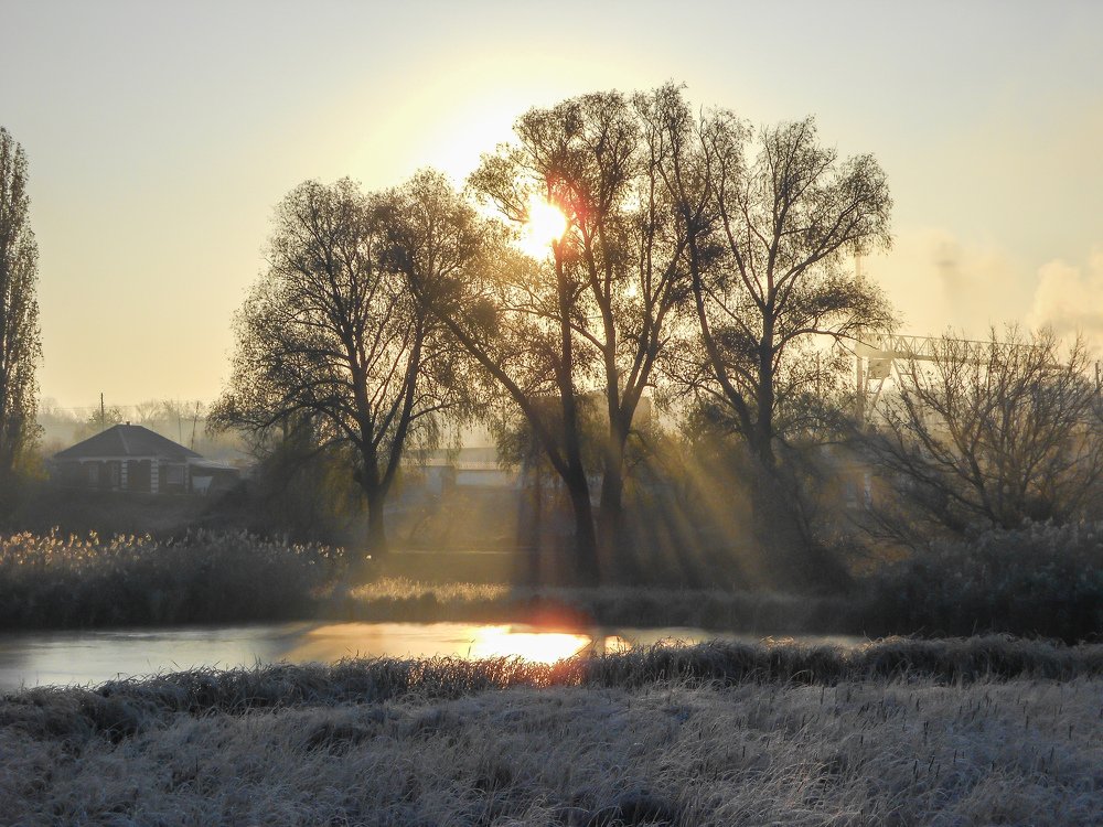 Photograph by Денис Лащ