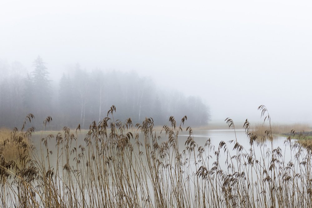 Photograph by Normunds Kaprano