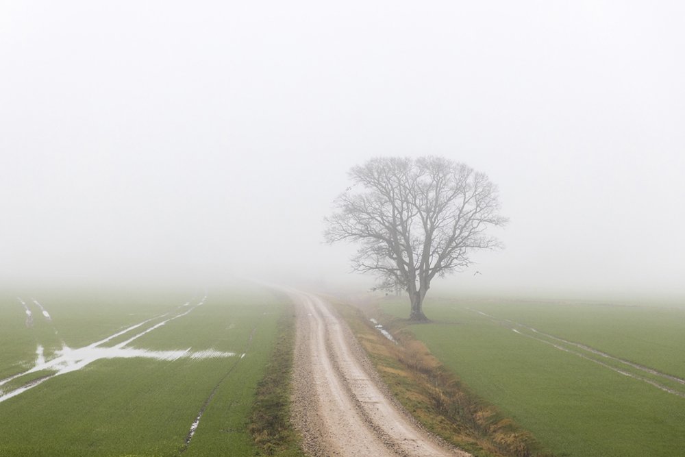 Photograph by Normunds Kaprano