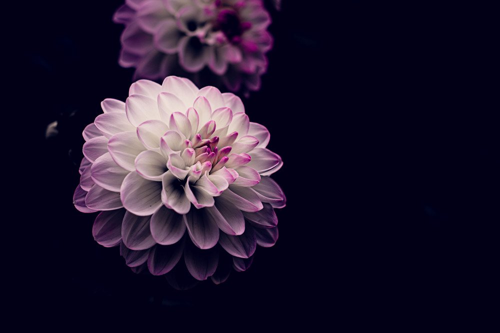 Photograph by Marin Karastoianov