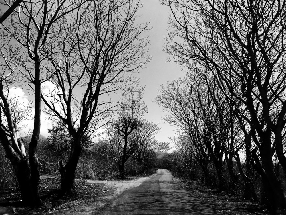 Photograph by Dina Gumanty