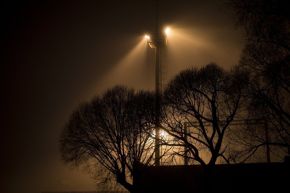 Фотография автора Александр Кременицкий