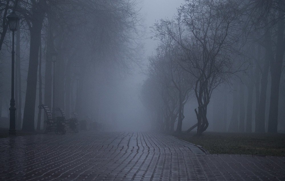 Фотография автора Александр Кременицкий