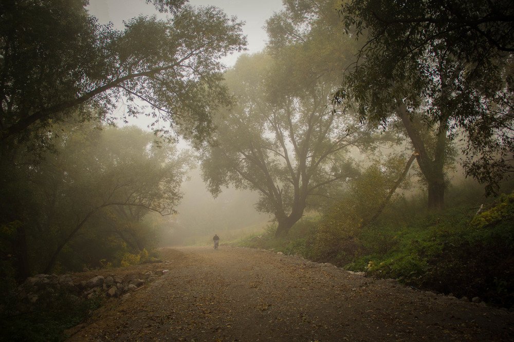 Photograph by Svoboda Andreeva