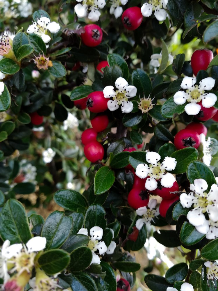 Photograph by Ольга Левенец