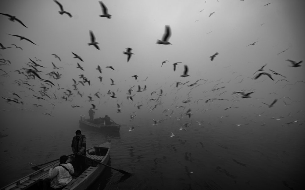 Photograph by Allen Thomas