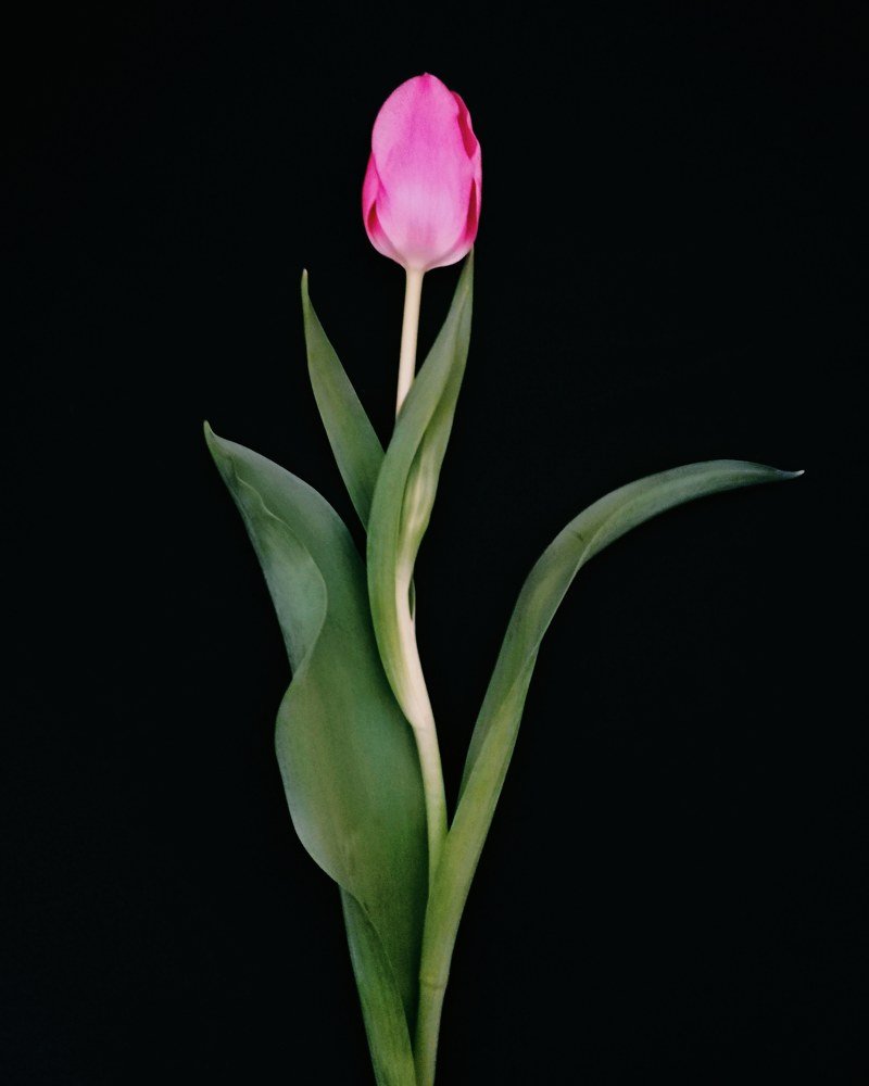 Photograph by Ольга Левенец