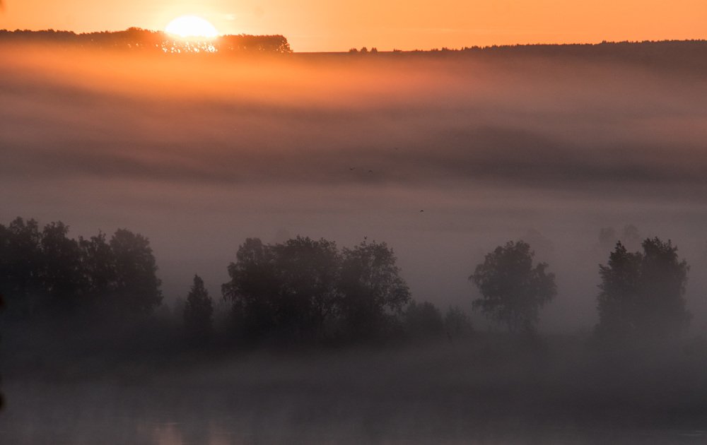 Photograph by Рымаров Александр