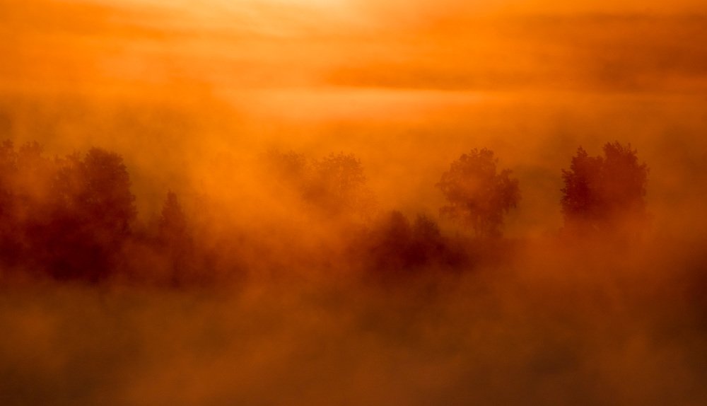 Photograph by Рымаров Александр