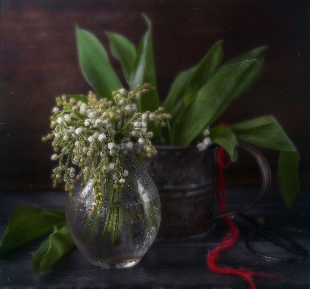 Photograph by Svoboda Andreeva