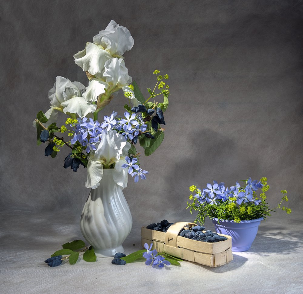 Photograph by Ольга Дядченко