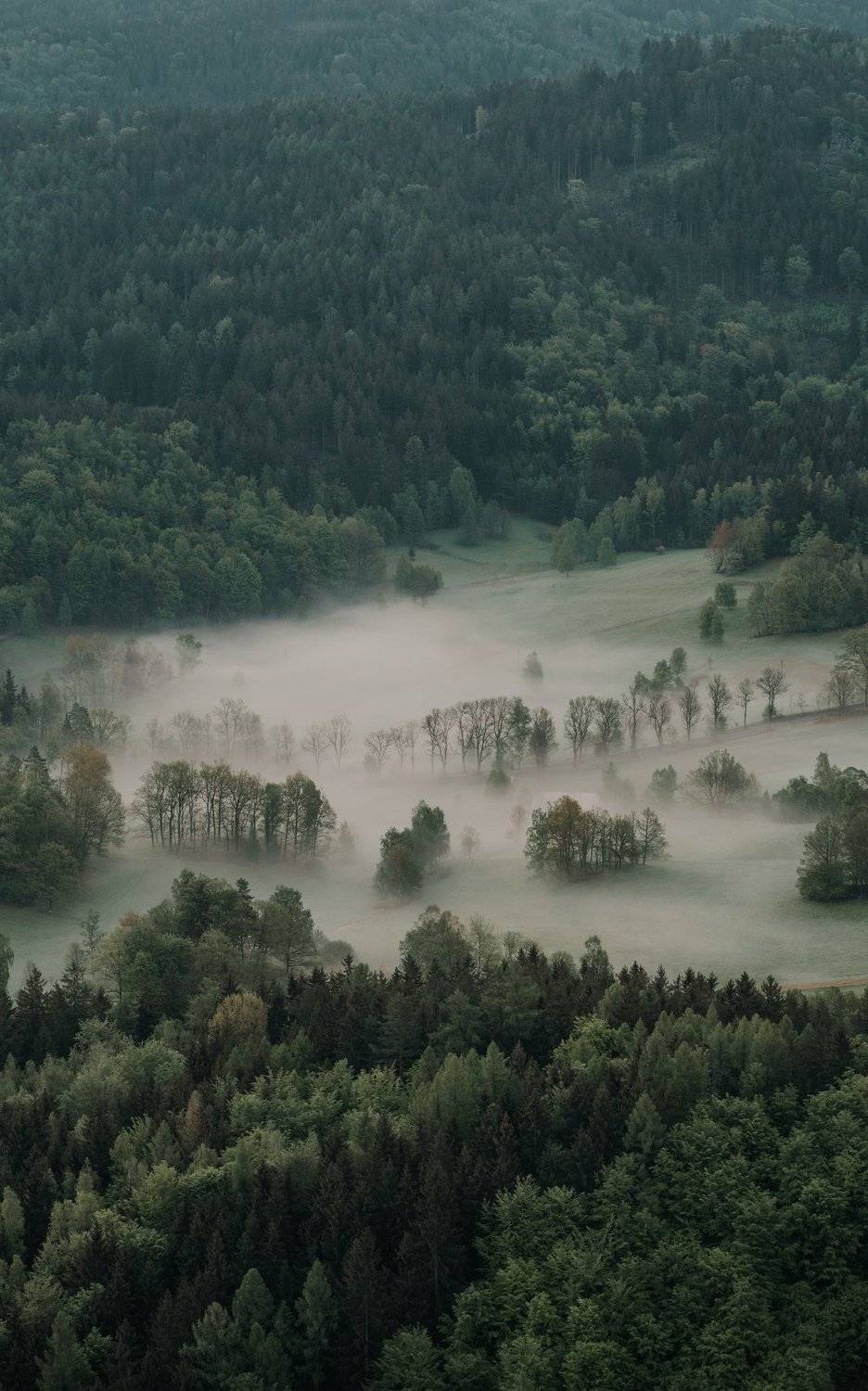 Фотография #4629430