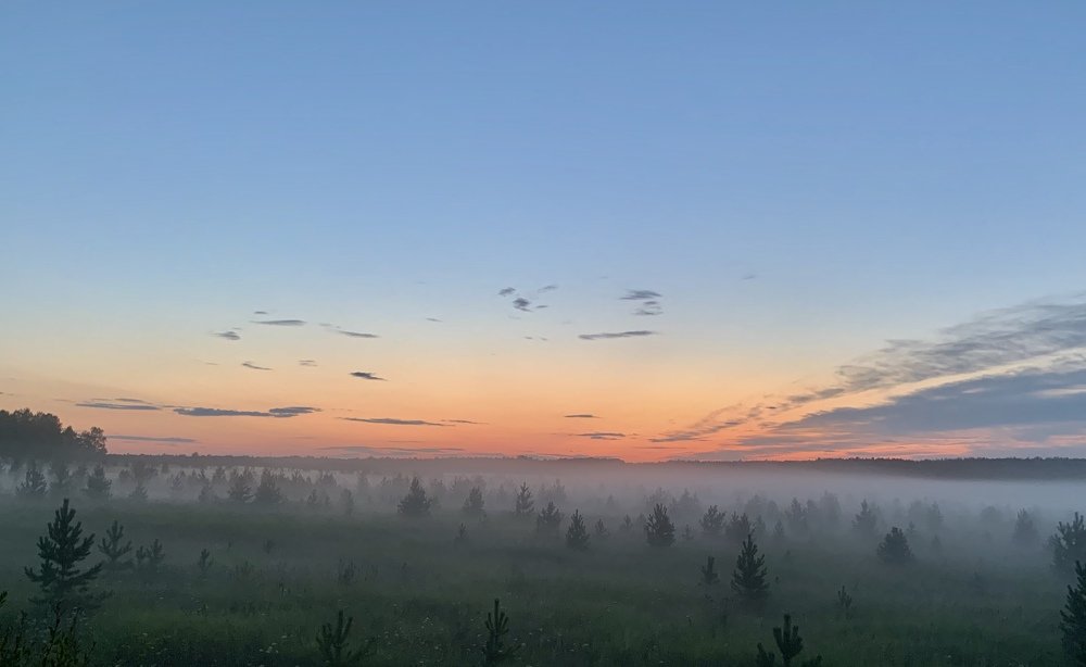 Photograph by Елена Мормоль